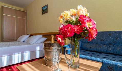 Двухместный номер 1 категории, корпус 2, курортный комплекс "Ямал", Туапсинский район, Небуг