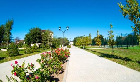 Санаторий Дюна. Анапа, Витязево