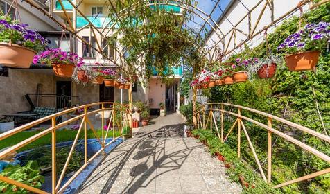 Отель Пальма. Сочи, Адлер