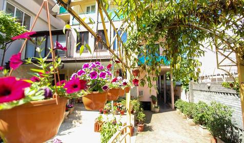 Отель Пальма. Сочи, Адлер