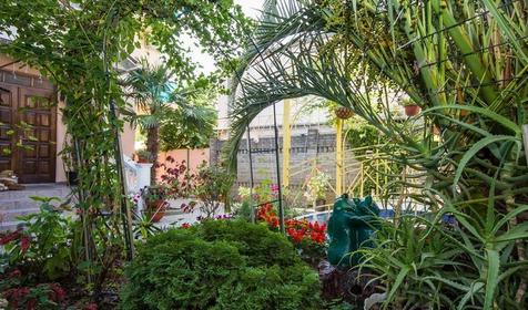 Отель Пальма. Сочи, Адлер