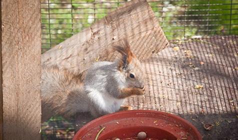 Отель Плаза, Геленджик