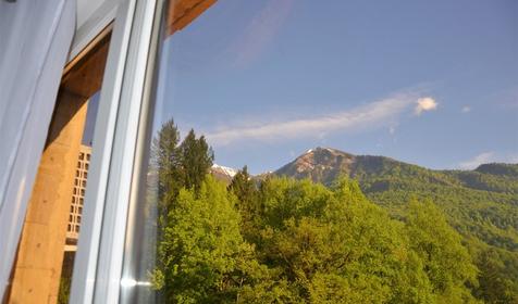 Люкс премиум