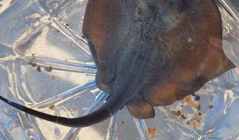 Морской квартал 223