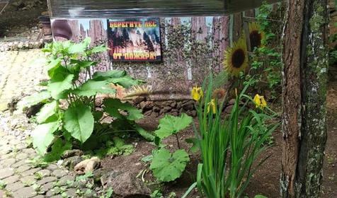 База отдыха Благодать