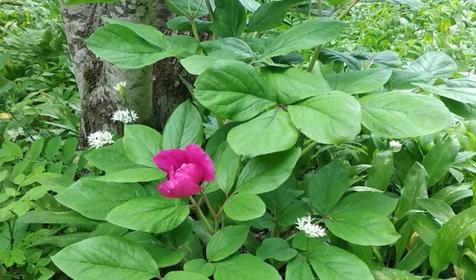 База отдыха Благодать