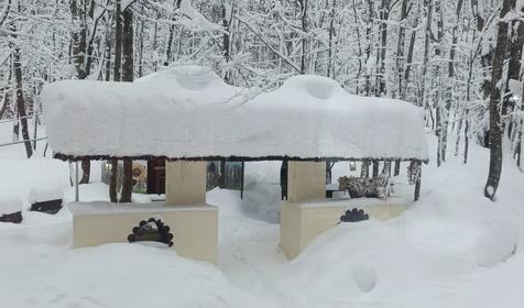 База отдыха Благодать