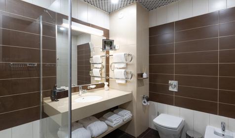 Стандарт 2-местный. Отель Аркадия, Сочи, Красная Поляна, Эсто-Садок