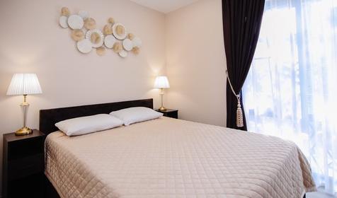 Апартаменты Люкс с одной спальней