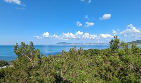 Бизнес-плюс