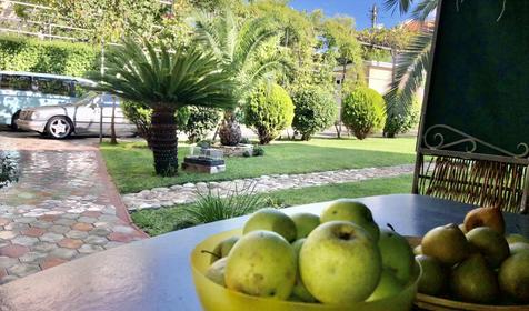 Виноградный