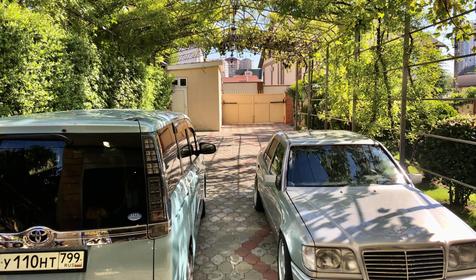 Виноградный