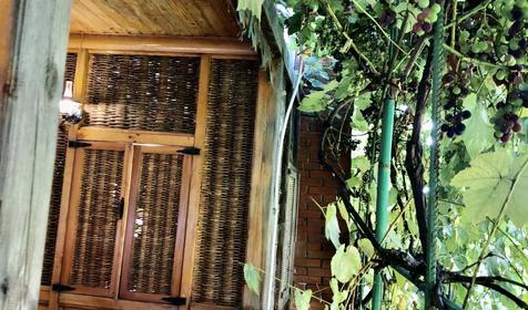 Виноградный