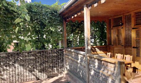 Виноградный