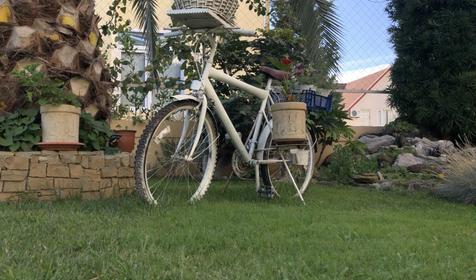 Виноградный