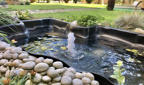 Виноградный