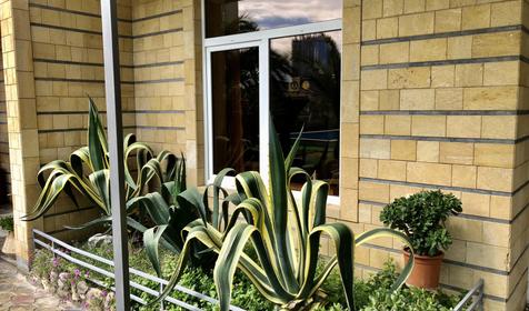 Виноградный