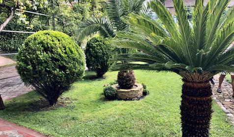 Виноградный