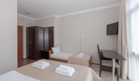 Трехместный стандартный №31