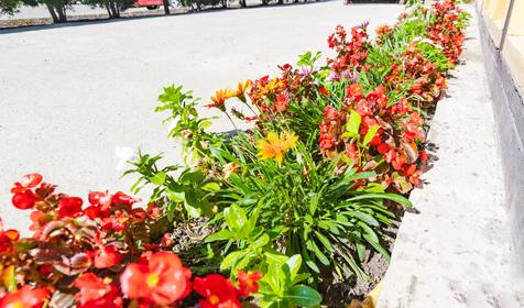 Курортный отель Южный бриз. Анапа