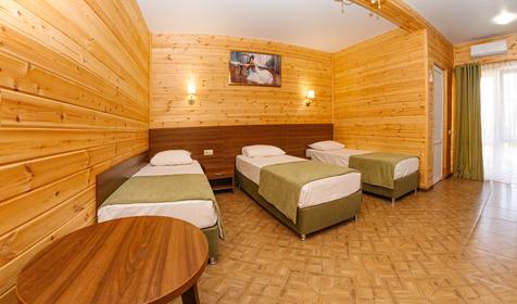 Комфорт трехместный с террасой