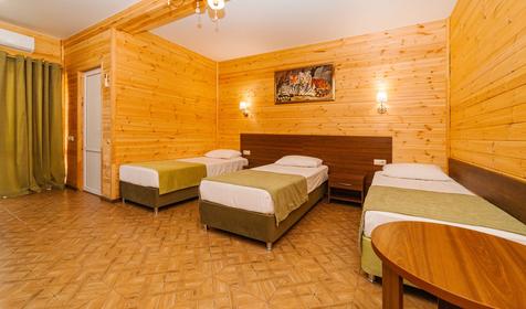 Комфорт трехместный с террасой