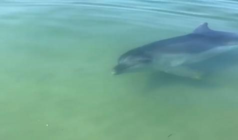 Апартаменты "Морской квартал". Темрюк, Веселовка