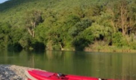 Гостевой дом Респект. Геленджик, Криница