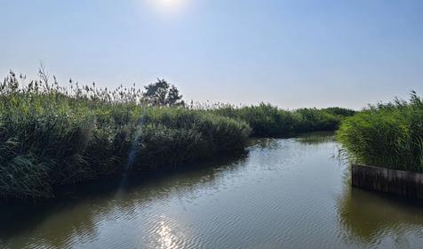 База отдыха "Пригибский лиман". Калининский р-н, Пригибский