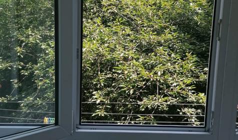 Квартира по ул. Первомайской. Ейск