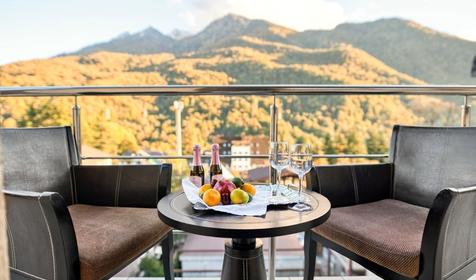 Комфорт двухместный (вид на горы)