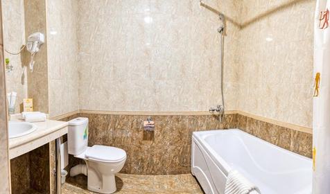 Комфорт двухместный (вид на горы)