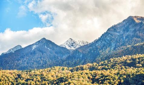 Студия трехместная (панорамный вид)