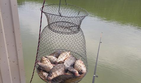 База отдыха "Дом рыбака и охотника". Славянск-на Кубани, Верхний