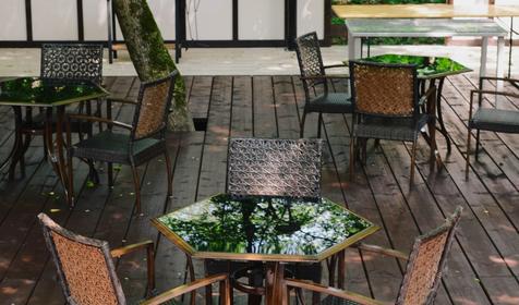 Delfin Holiday Park Inal (Дельфин Холидей Парк Инал)