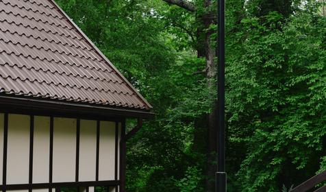 Delfin Holiday Park Inal (Дельфин Холидей Парк Инал)