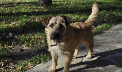 Гостевой дом "Поляна Убинская"