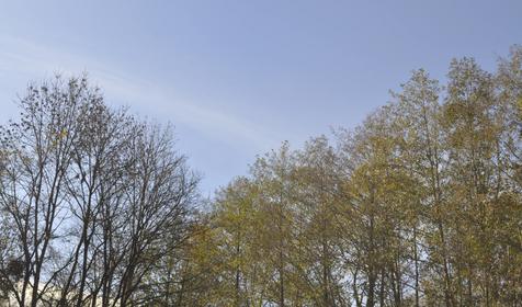 Гостевой дом "Поляна Убинская"