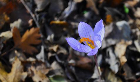 Гостевой дом "Поляна Убинская"