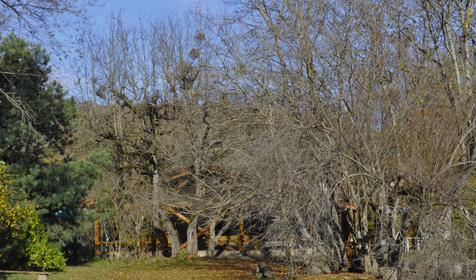 Гостевой дом "Поляна Убинская"