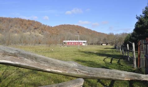 Гостевой дом "Поляна Убинская"