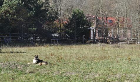 Гостевой дом "Поляна Убинская"