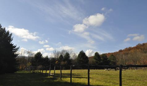 Гостевой дом "Поляна Убинская"