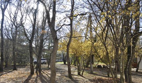 Гостевой дом "Поляна Убинская"