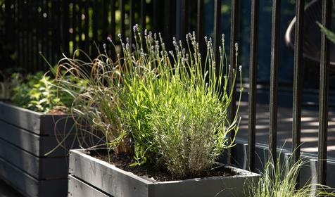 Счастье в горах