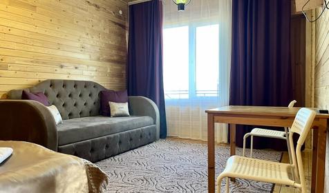 Однокомнатные апартаменты. Гостевой дом Сова от Травел Хотелс Антураж