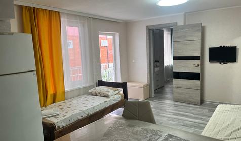 Апартаменты с кухней. Гостевой дом Надежда