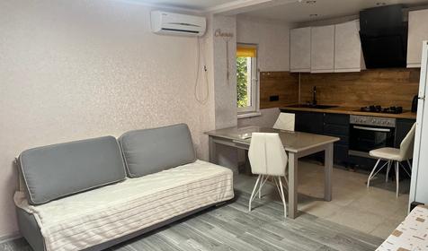 Апартаменты с кухней. Гостевой дом Надежда