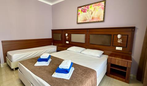 Трехместный