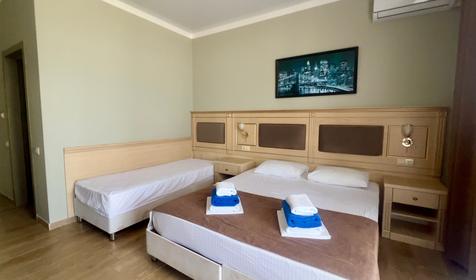 Трехместный